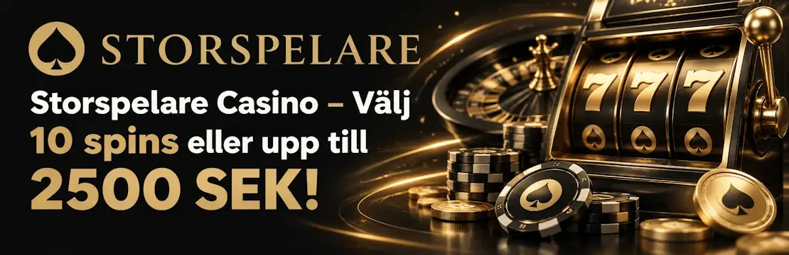 Storspelare